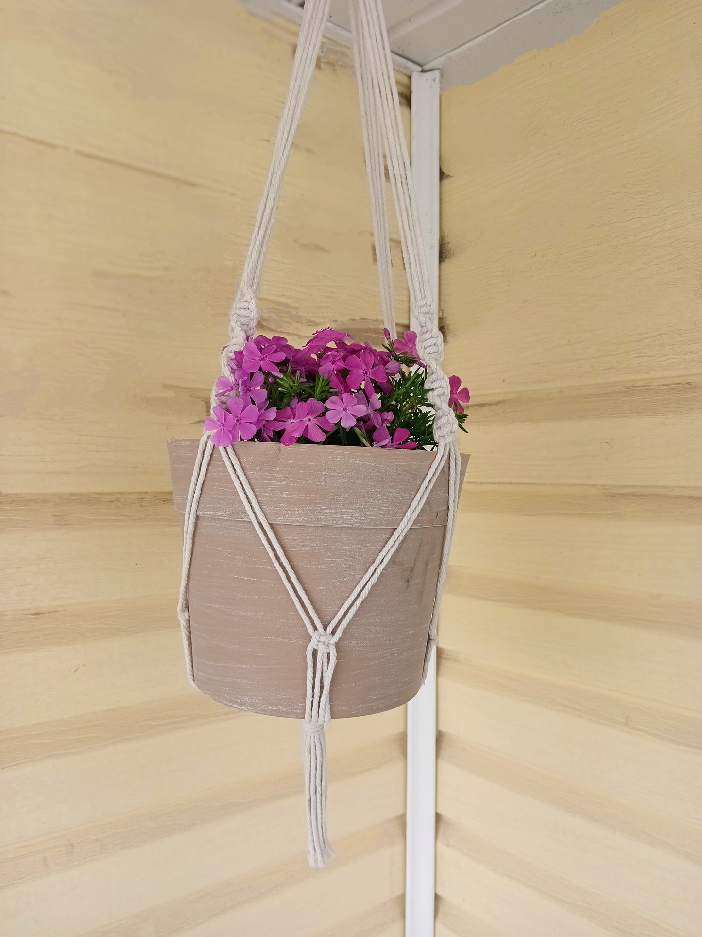 Macramé Plant Hanger